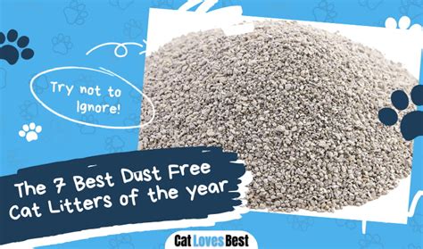 best dust free cat litter|best type of cat litter.